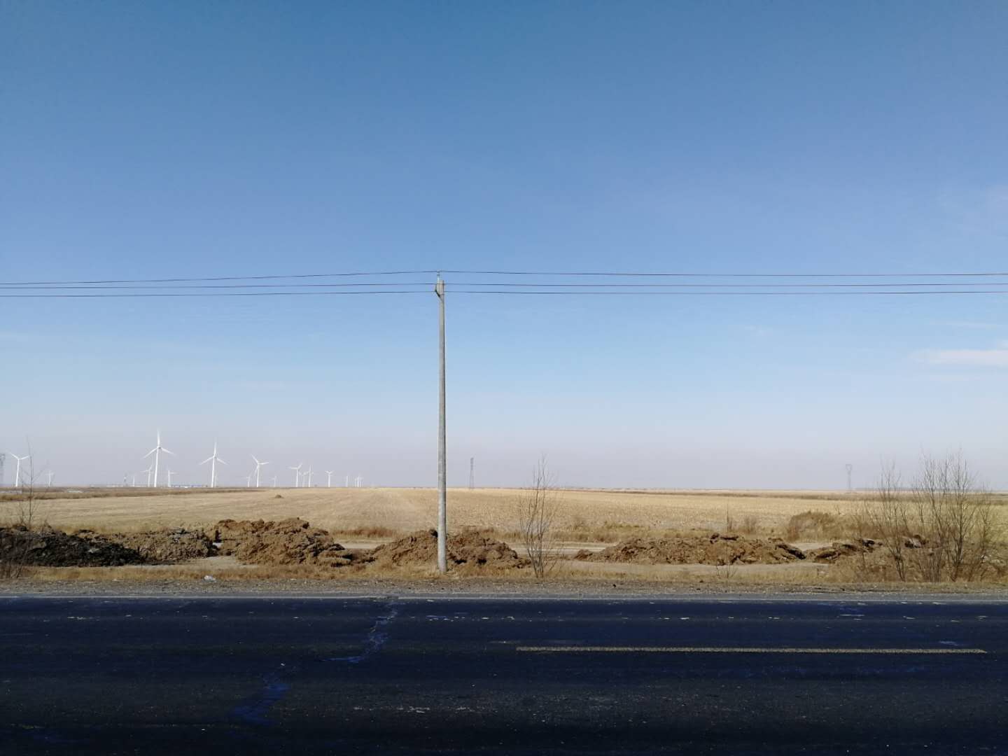 6152b2e029123.jpg